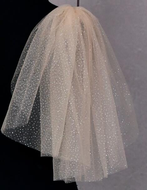 shoulder veil wedding dress